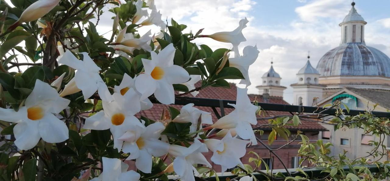 Una Favolosa Terrazza Nel Centro Di Roma Exterior foto